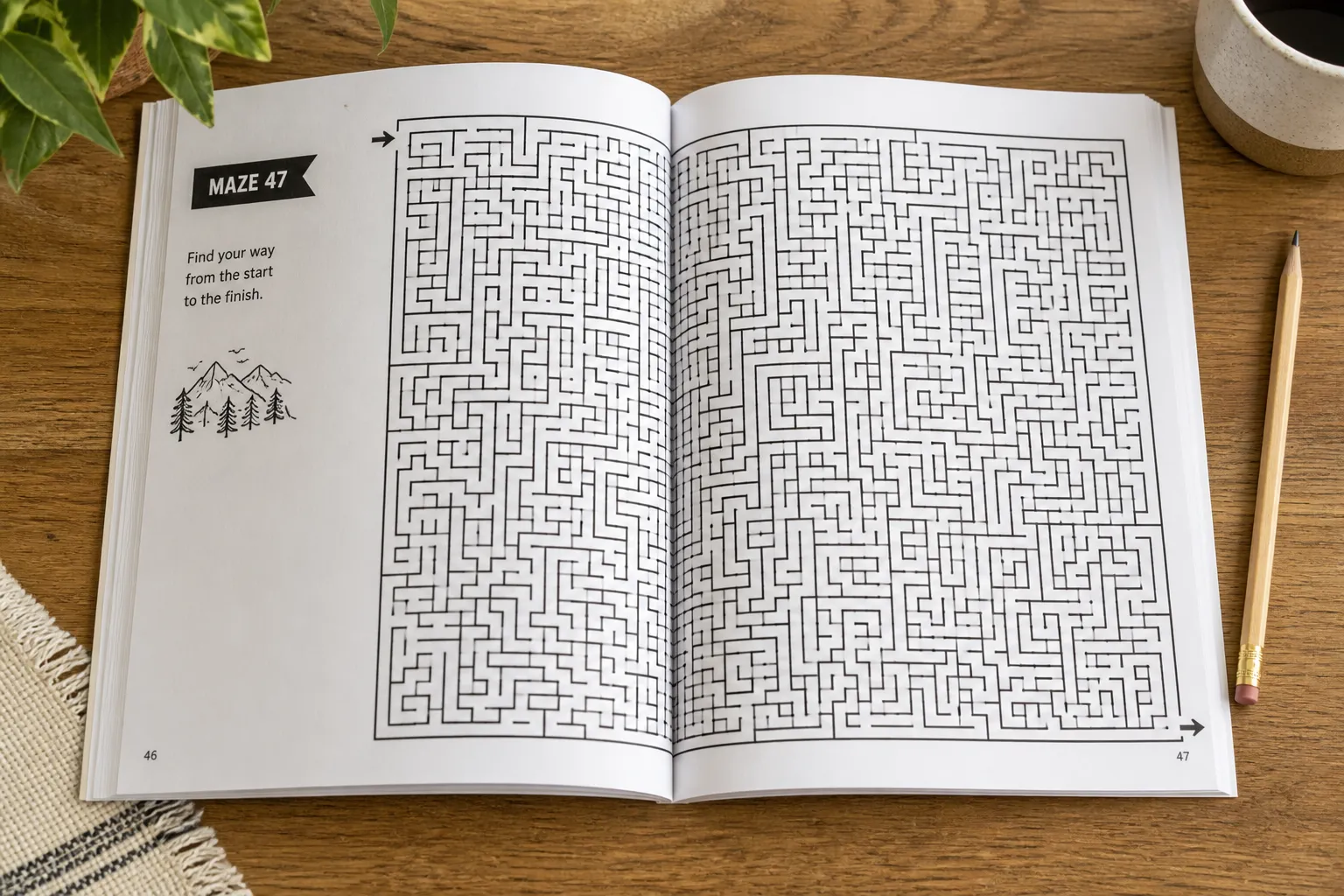 Amazon Look Inside preview of a maze activity book showing a full-page complex maze
